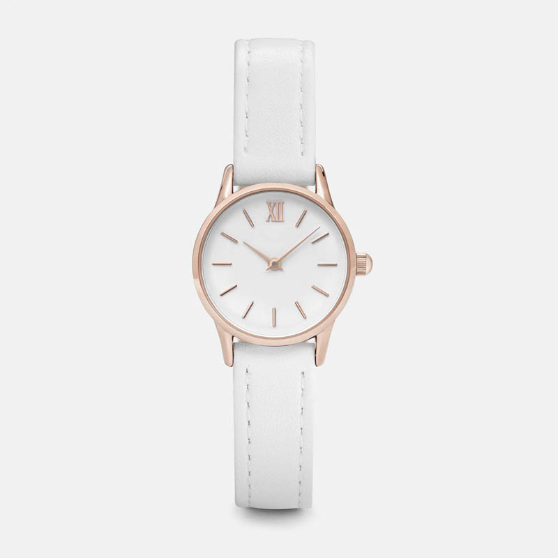 CLUSE Diving Watch: Netherlands Belt - ST-0033