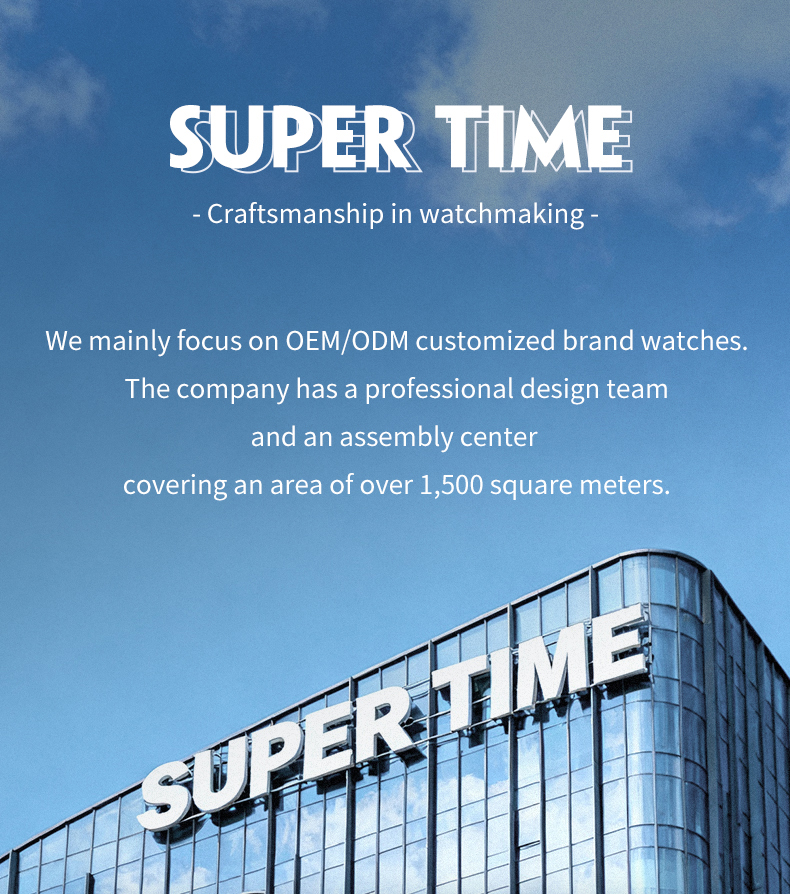 VK63 Quartz Mens Chronograph Watch(图6)